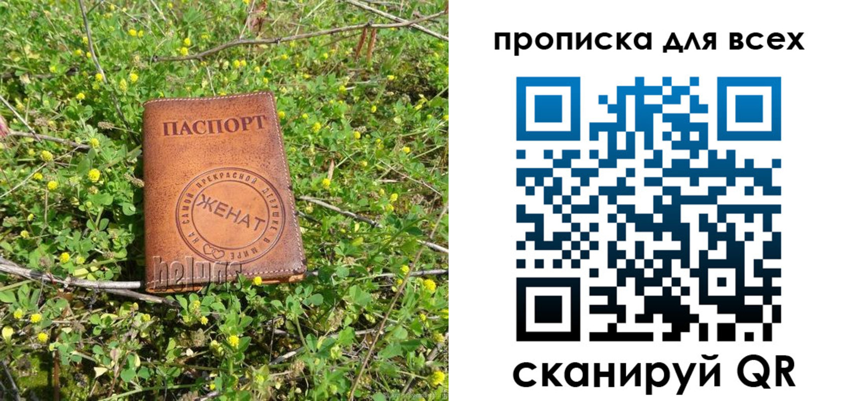 прописка поиск в Гаврилов-Яме